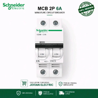 Acti9 A9F74206 Ic60n MCB Schneider 2P 2 phase 6A Original