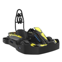 Professional Racing Go Kart Electric Go Karts For Adults Racing Karting For Sale
