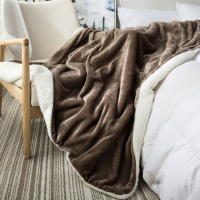 Double Layer Imitation Lamb Wool Blanket Coral Fleece Office Blanket Small Blanket Nap Blanket Thick