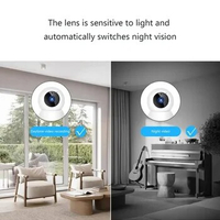 Camera Memory Expansion CCTV PTZ Security Camera Mini WiFi Cam Wide Angle Rotatable Surveillance Outdoor Use Network