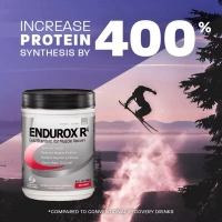 Endurox R4 (14svg) (2.29lbs)