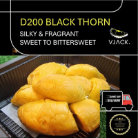 [Same Day Delivery]D200 Black Thorn (450g Each Box) Old Tree Durian Fruit Natural