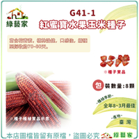 【綠藝家】G41-1.紅蜜寶水果玉米種子8顆(有藥劑處理)
