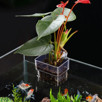 A Happy  1pc Hanging Aquarium Planter Cups, Wall Mounted Aquatic Plants Holder, Aquarium Planter Bas