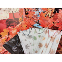 🎉淨新🎉精緻🍁楓葉🍁口罩🎆