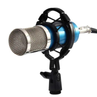 Professional Condenser Microphone Mic Shock Mount Holder Universal Studio Recording Bracket for Large Diaphram Mic Clip Black