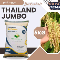 benih padi Thailand jumbo 5kg