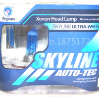 2Pcs H11 55W 12V 5000K Super White Car Head Light Lamp Xenon 5000K Blue Glass Halogen