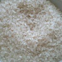 Beras mentik wangi / Beras enak dan wangi pack 1kg