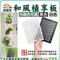 【綠藝家】和風植享板 植床板 定植板 鹿角蕨 植物上板相關資材 附生植物板材 鹿角蕨植板育苗