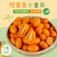 產地直送 郭老師農場有機認證橙蜜香小番茄禮盒4斤x1盒(淨重不帶蒂頭出貨)