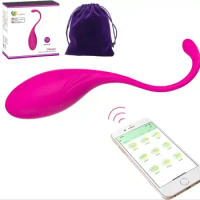 Wearable Panty G-spot Vibrator Dildo with APP Control TASHILONG Long Distance Silicone Vibrating Panties Vaginal Stimulator Cli
