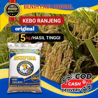 Benih padi kebo ranjeng (bojeng) 95hst ori 5kg