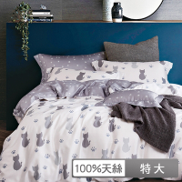 貝兒居家寢飾生活館 100%天絲七件式兩用被床罩組 特大雙人 仰星星