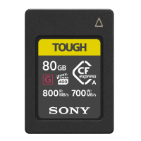 SONY CEA-G80T 80GB CFexpress Type A 原廠記憶卡