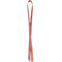 CHANEL 香奈兒 金蔥紅字緞帶(100cm)(正貨)
