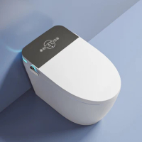 Luxury Smart Toilet Electric Bathroom WC te Intelligent Automatic Ceramic Bidet