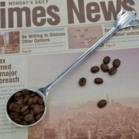 量豆匙/咖啡量匙/咖啡匙/豆匙 304不銹鋼咖啡量豆勺/一匙10g /豆勺