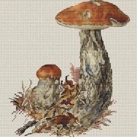 Mushroom 25-27 cross stitch kit aida 14ct count print canvas stitches embroidery DIY handmade needlework