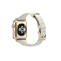 【吉米3C】Apple Watch S6/SE/5/4 38mm/40mm Apple Watch S6/SE/5/4 38mm/40mm T字皮錶帶(贈透明錶殼)