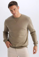 DeFacto 標準剪裁圓領基本款淨色厚衛衣