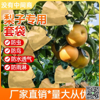 梨子套袋專用袋水果套袋果樹防蟲黃金梨套袋晚秋黃梨袋果袋防蟲袋-UM.有米家居