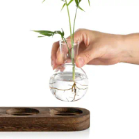 Plants Terrarium For Hydroponics Plants Creative Wooden Stand Home Desktop Glass Planter Hydroponics Glass Vase For Plants