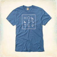 美國百分百【Hollister Co.】T恤 HCO 短袖 T-shirt 海鷗 圓領 藍色 logo M號 F351