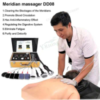 2024 New Meridian master health care instrument hualin dds bio electric massage therapy