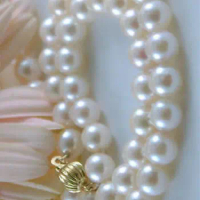 AAA 18" 7-8mm AKOYA White Pearl Necklace 14K Gold clasp