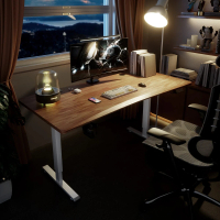 1stPlayer GT系列 實木桌面電競桌（電動升降桌 72~117cm) 升降檯  GT-1675 160*75cm