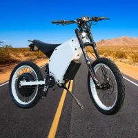 1000W 48V Full suspension Endurance off-road vehicles with in-wheel motors Road Mountain Electric Bike