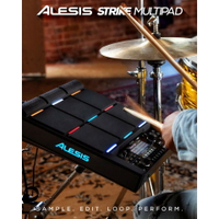 Alesis Strike Multipad 打擊板 (取樣打擊板) SPD