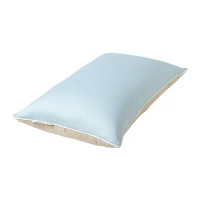 KEJSAROLVON 枕頭保潔套, 米色/藍色, 50x80 公分