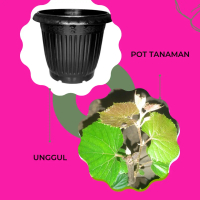 Pot Kober Siap: Pot Tanaman 5bb untuk Segala Media Tanam