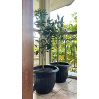Pot Bunga / Pot Tanaman 40cm / Pot Belimbing 40 / Pot Matahari uk 40 HITAM