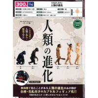 Japan Bushiroad Gashapon Capsule Toy Humanity Evolutionary History Decoration Ape Man Caveman Process