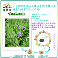 【綠藝家】大包裝K35.西班牙薰衣草(羽葉薰衣草)種子0.068克(約100顆)