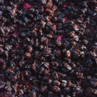 Keripik Bekicot Goreng Kriyuk Pedas Gurih Snack Cemilan - Food, Kering