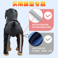 Pet Double Hind Leg Walking Support Device, Post-Surgery Fixed Bandage for Old Dogs, Leg Support Aid