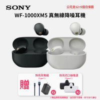 SONY WF -1000XM5 真無線降噪入耳式耳機 藍牙耳機 (原廠公司貨保固18個月)