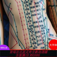 {臺灣公司貨 可打統編}中醫人體針灸模型人經絡穴位十二銅人全身模特圖小皮人可扎針練習