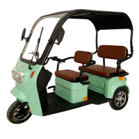 3 Wheel Electric Scooter With Canopy For Adults Electric Golf 3 Seats Sightseeing Electric Vehicle