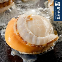 【阿家海鮮】日本熟凍帆立貝 L (800g/包.淨重800g/包)