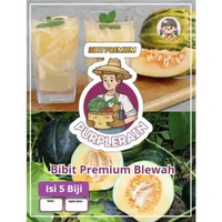Bibit Premium Blewah | Benih Blewah Bisma