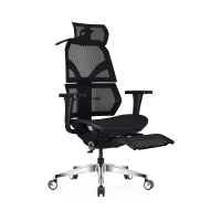 完美主義 艾索多功能人體工學椅-鋁合金腳(電腦椅/辦公椅)