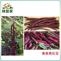 【綠藝家】大包裝E15.紫莢長豇豆種子(菜豆、豆角)100克(約630顆)