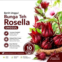 Benih Bunga Rosella