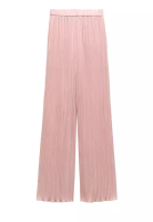 ZARA Pleated Pants
