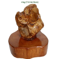 batu hias suiseki fosil kayu cendana (135)
